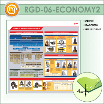     (RGD-06-ECONOMY2)
